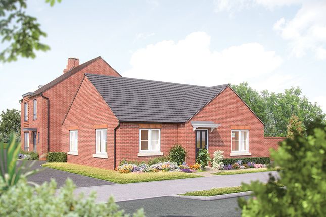 Thumbnail Bungalow for sale in "The Holdenby" at Sandy Lane, Kislingbury, Northampton