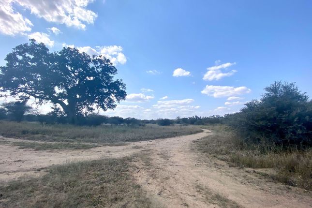 Farm for sale in 194 Guernsey, 194 Guernsey, Guernsey, Hoedspruit, Limpopo Province, South Africa
