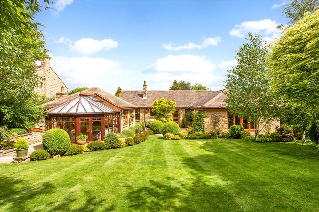 Thumbnail Bungalow for sale in Fair View, The Ridge, Linton, Near Wetherby