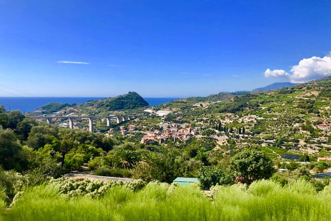 Land for sale in Vallebona, Via Ciotti, Vallebona, Imperia ...