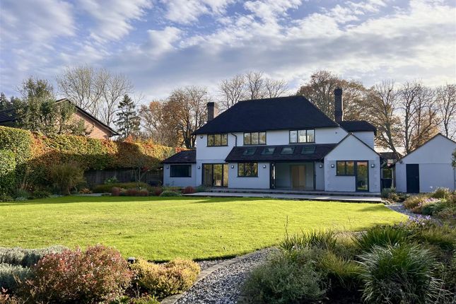 Autumnal Rear Garden.Jpg