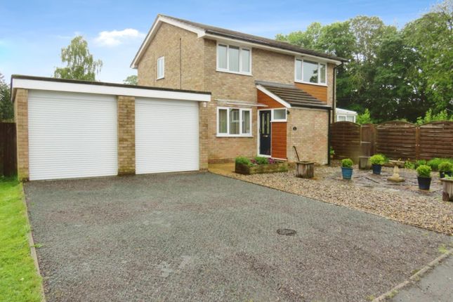 Thumbnail Detached house for sale in The Oaks, Ashill, Thetford