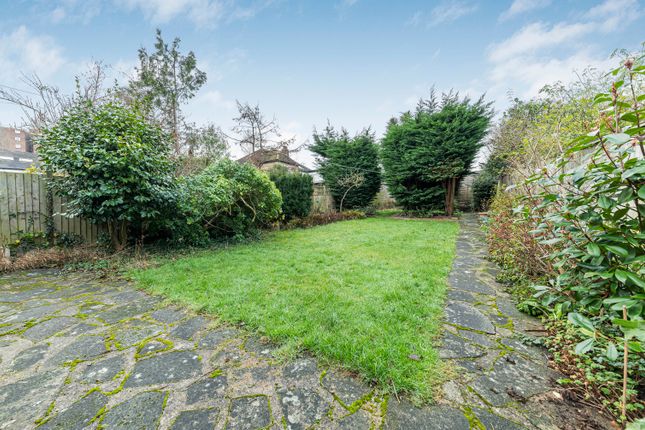 Garden (3)