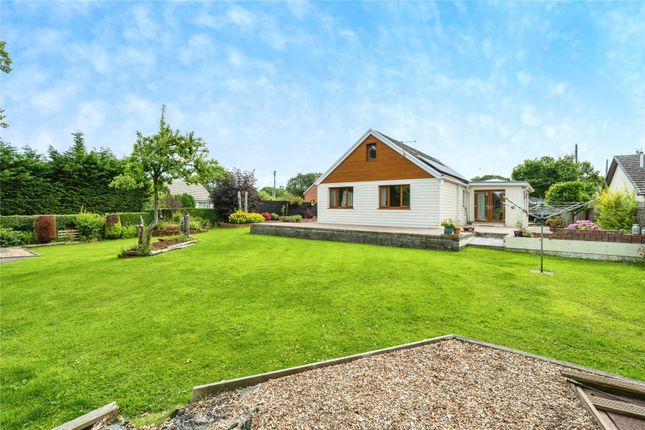 Thumbnail Bungalow for sale in Llangoedmor, Cardigan, Ceredigion