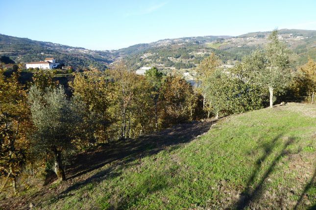Farm for sale in P733, Farm Of 3, 5 Ha And A House In Cinfães, Portugal, Portugal