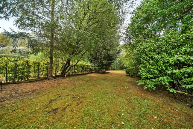 50, Lansdowne Avenue, Orpington photo 4