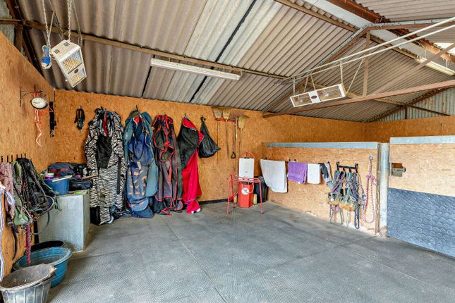 Wash Box &amp; Solarium