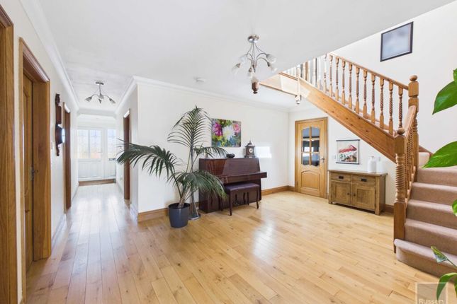 71, Grove Avenue, Norwich photo 4