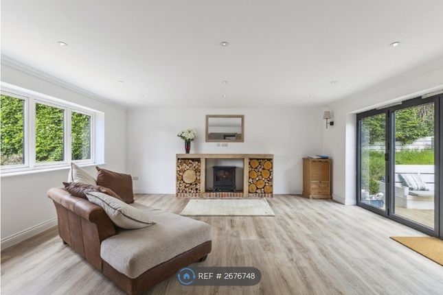 Living Room With Fireplace