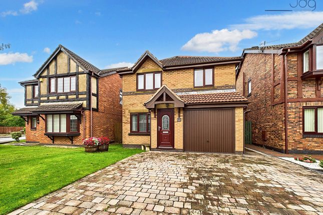 Welcome To Hodder Avenue