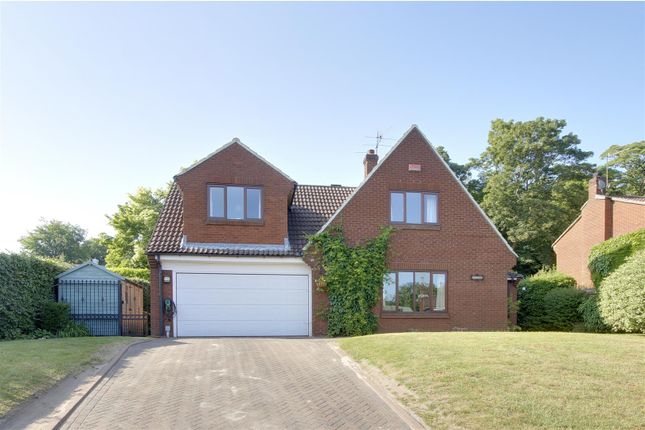 Thumbnail Detached house for sale in Mount View, North Ferriby