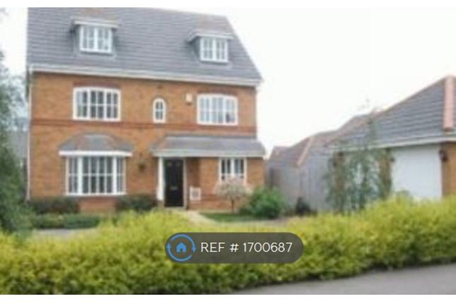 Thumbnail Detached house to rent in Springfield Road, Northamptonshire