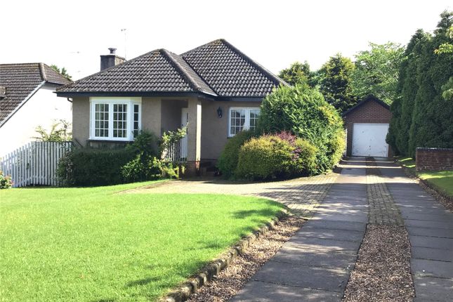 Thumbnail Bungalow to rent in Windhill Park, Waterfoot, East Renfrewshire