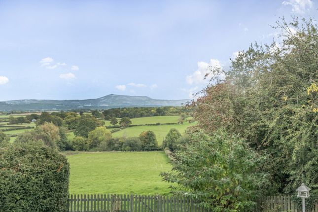 1361446-10-68Dd67...