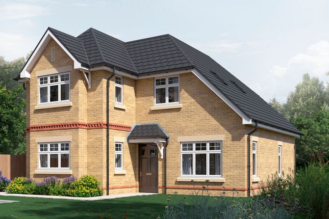 Plot 9 CGI