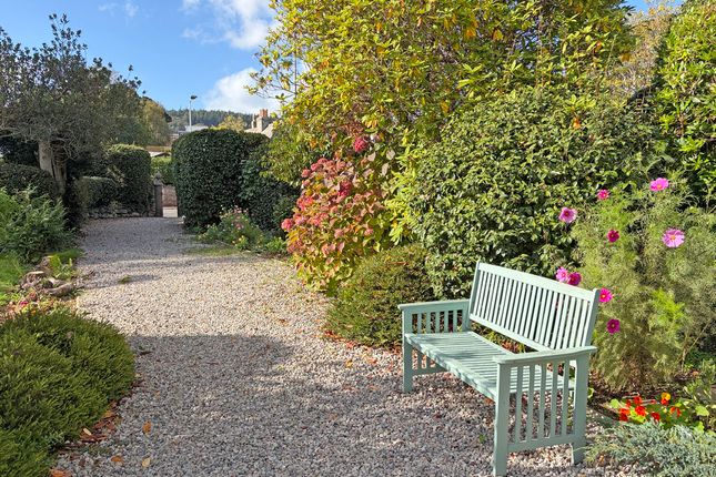 All Saints Road, Sidmouth photo 2