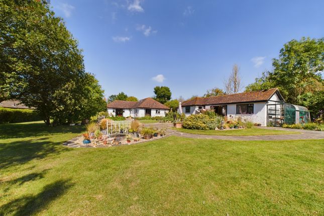 Detached bungalow for sale in Lark Hill Road, Canewdon, Rochford, Essex