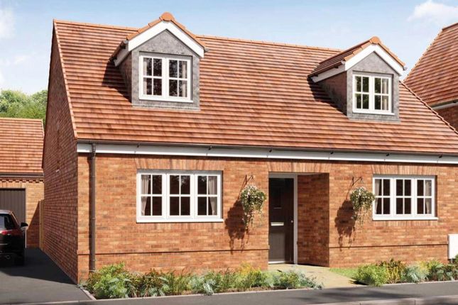 Thumbnail Detached house for sale in "Kingswood" at Salhouse Road, Rackheath, Norwich