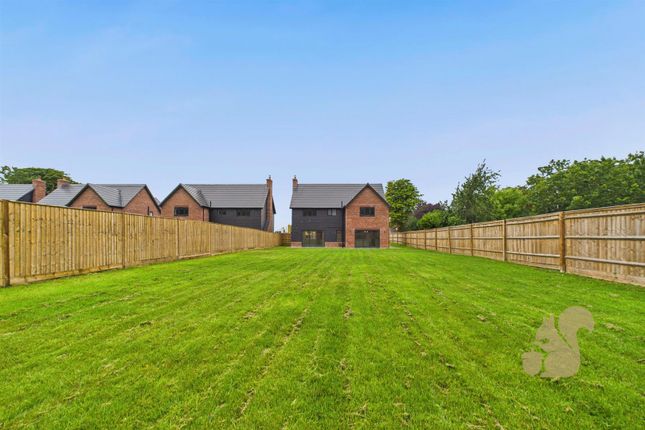 Rear Of Property