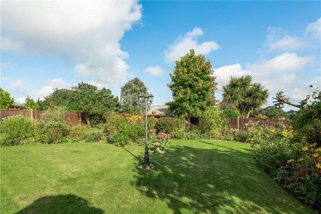 Detached house for sale in Yew Tree Farm, Corscombe, Dorchester