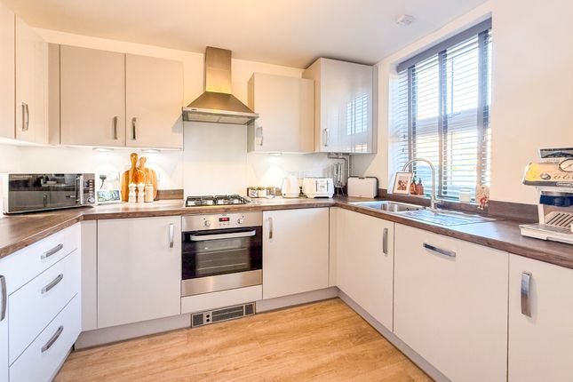6, Blue Bird Way, Eastbourne photo 3