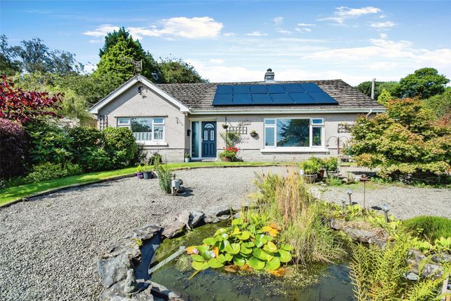 Thumbnail Bungalow for sale in Forest Road, Lampeter