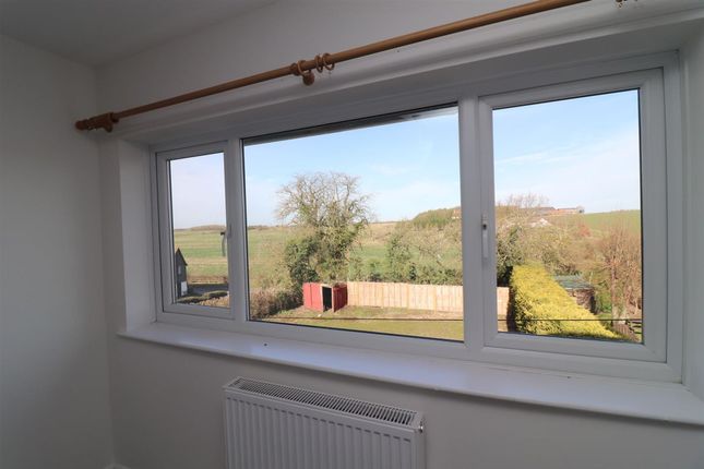 View From Bedroom Window