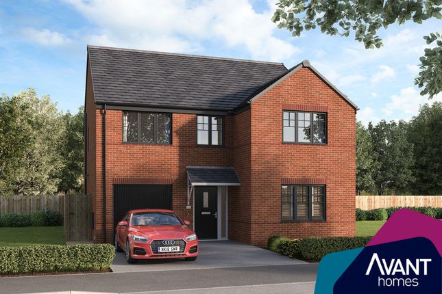 Thumbnail Detached house for sale in "The Darwood" at Hawes Way, Waverley, Rotherham