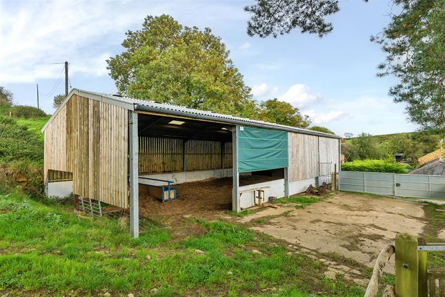 Farmhouse for sale in Broadwindsor, Beaminster