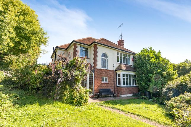 Thumbnail Detached house for sale in Goldstone Crescent, Hove, East Sussex