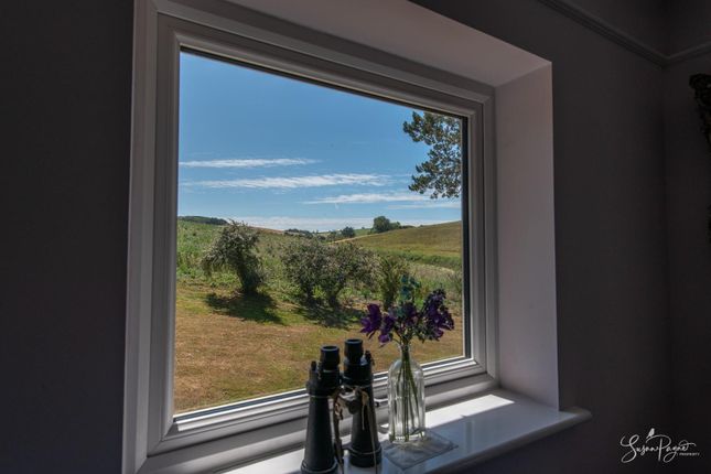 Views From Bedroom Two