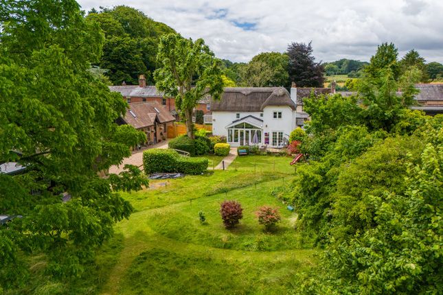 Thumbnail Cottage for sale in High Street, Damerham, Fordingbridge