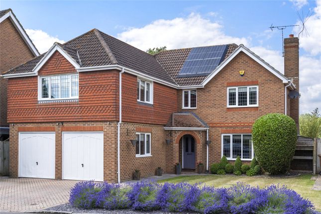 Thumbnail Detached house for sale in Danesfield, Ripley, Woking