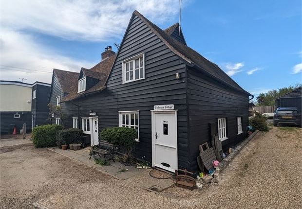 Thumbnail Cottage to rent in Coast Road, West Mersea