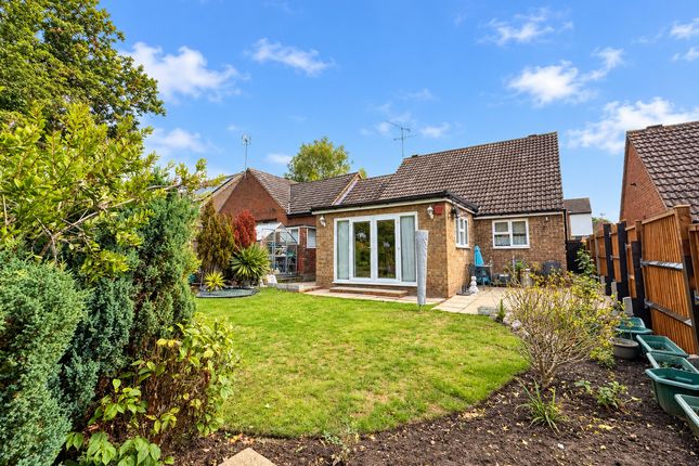 Minton Heights, Rochford photo 2