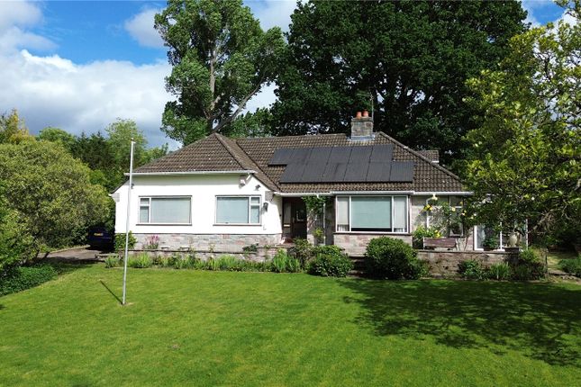 3-bed house on Shipton,, The Hollow, Blandford Forum, £640,000
