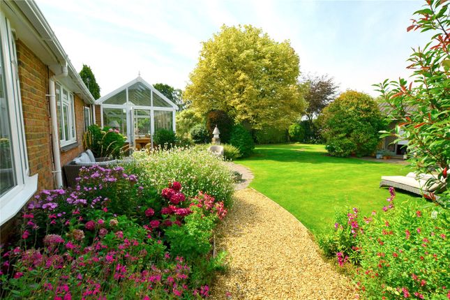 Bungalow for sale in South Gorley, Ringwood, Hampshire