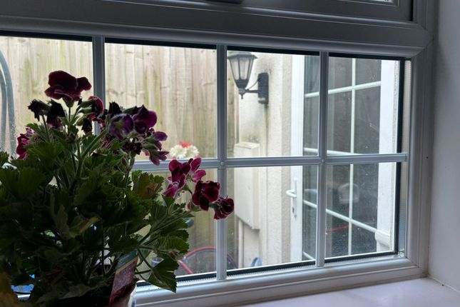 19, Taunton photo 3