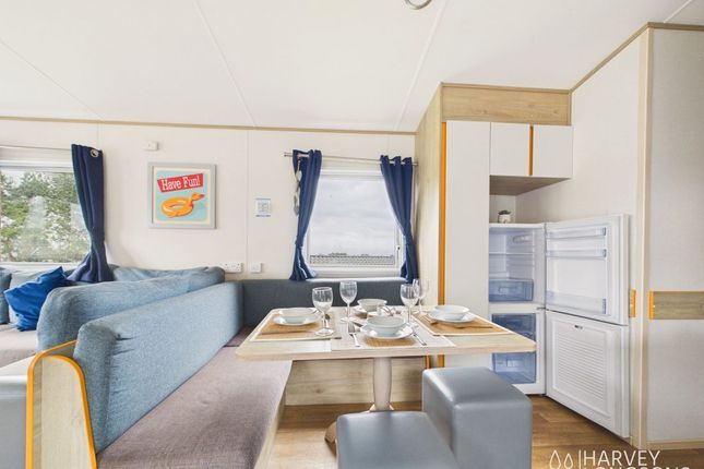 Silver Sands Holiday Park, Covesea West Beach, Lossiemouth photo 5