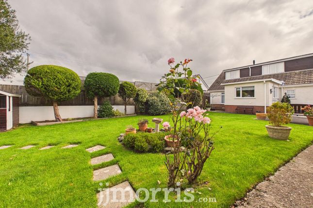 Oakridge, Penybryn, Cardigan photo 3