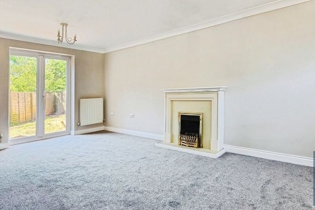 5, Colchester photo 3