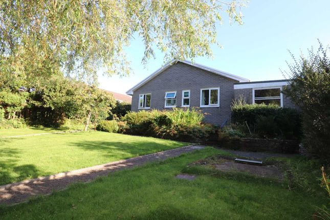 Thumbnail Bungalow for sale in Glanceulan, Aberystwyth