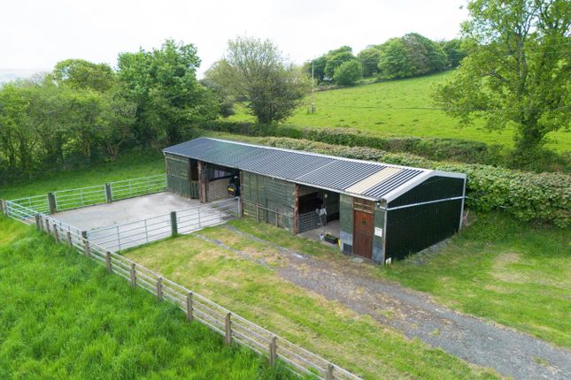 Parcau, Brynberian, Near Newport photo 4