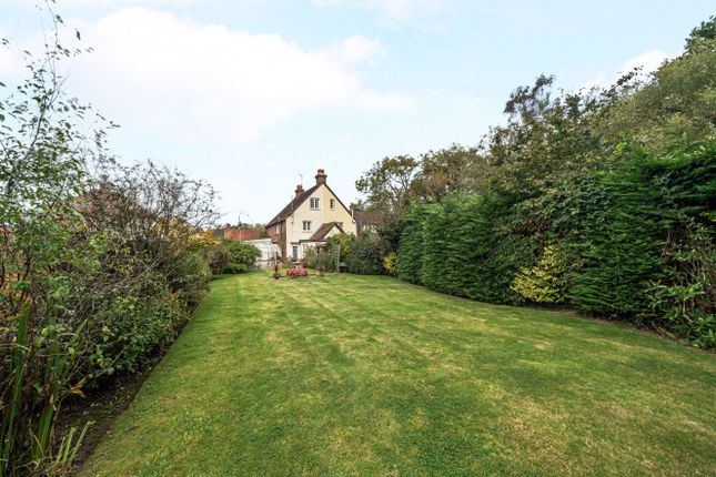 Thumbnail Semi-detached house for sale in Chiddingfold, Surrey