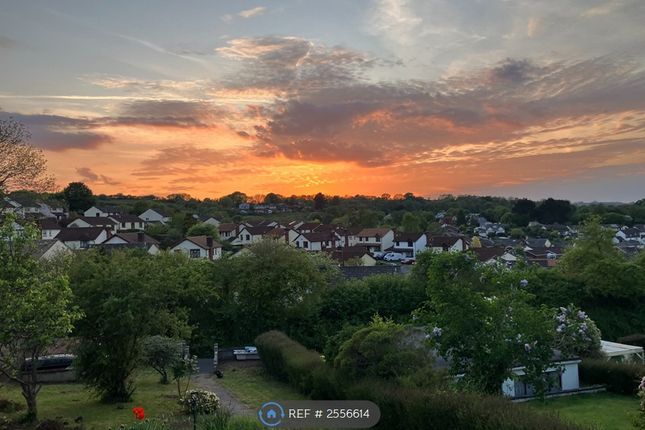Sunset From Front Patio