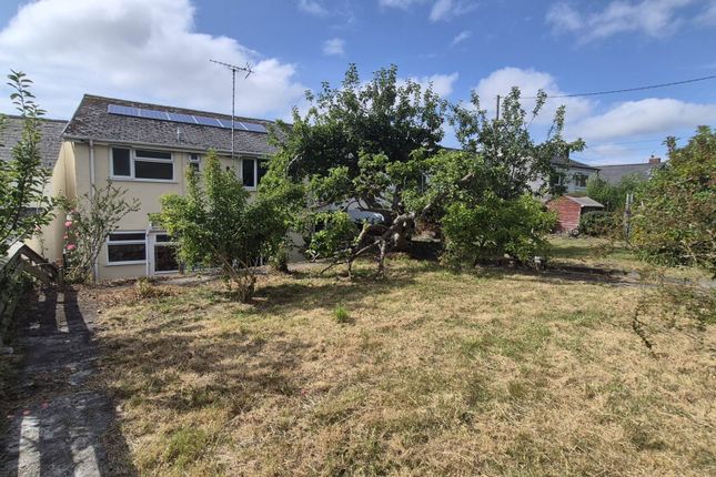 Aelybryn, Bow Street photo 2
