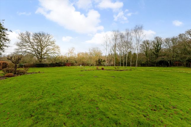 Brimpton Common, Reading photo 4