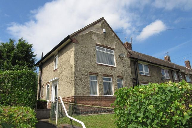 Thumbnail Semi-detached house to rent in Holgate Avenue, Sheffield
