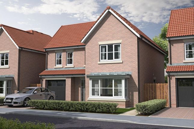 Thumbnail Detached house for sale in Plot 218 The Bolam, Cottier Grange, Prudhoe