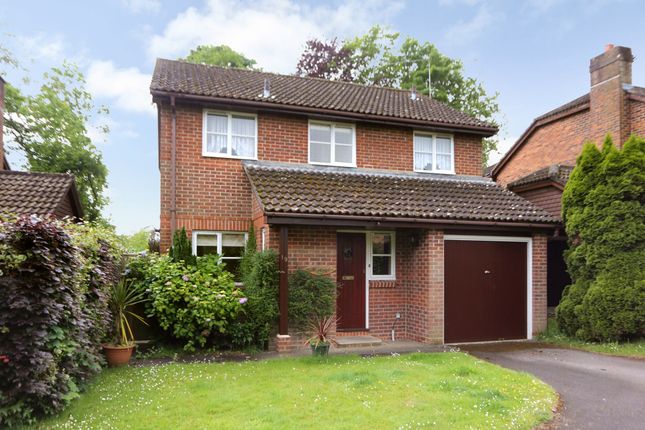 Thumbnail Detached house for sale in Morley Drive, Bishops Waltham